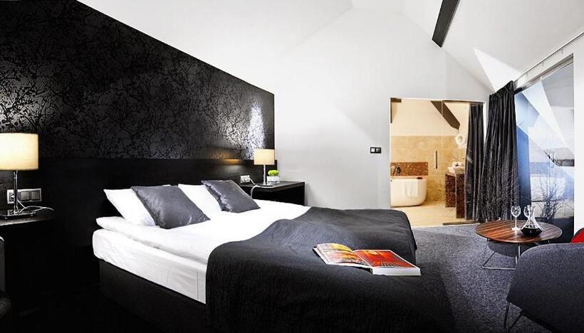 דירת חדר עם טרסה, Remes