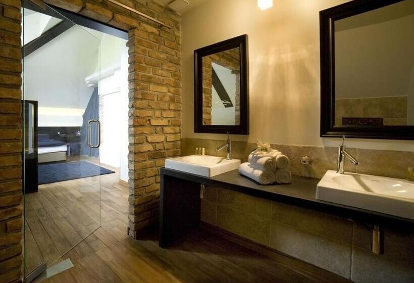 דירת חדר עם טרסה, Remes