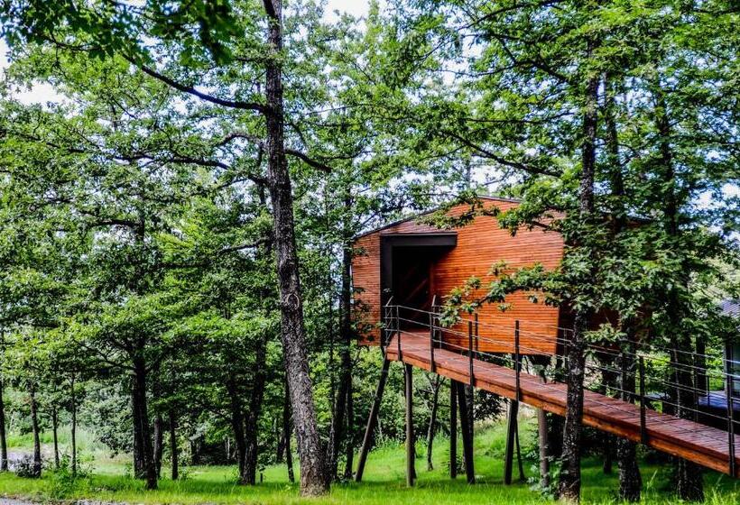 ジュニアスイート, Park Hotel Olimpia