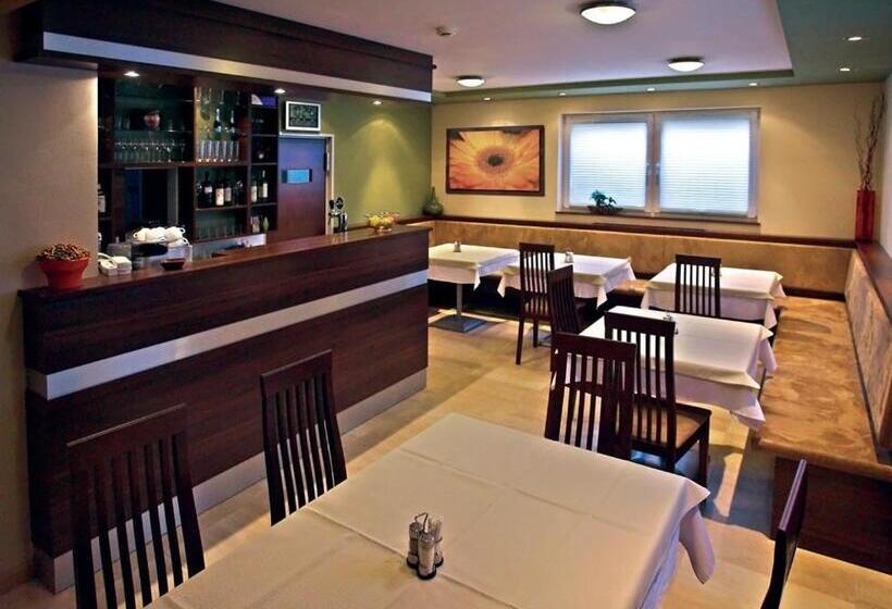 غرفة قياسية, Promedicum Panzio