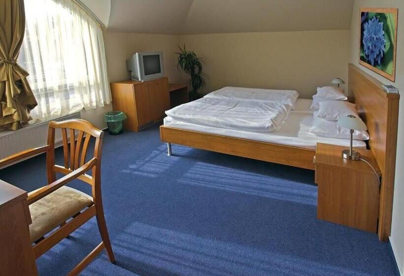 غرفة قياسية, Promedicum Panzio