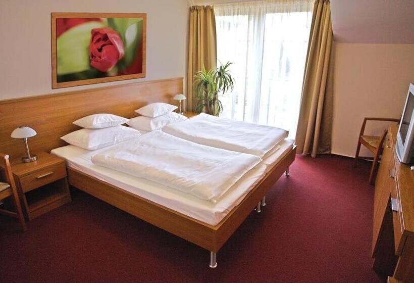 חדר סטנדרט, Promedicum Panzio