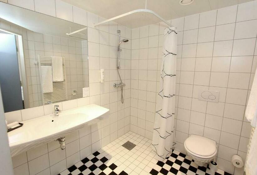 غرفة بيزنس, Viking Aqua Spa & Wellness