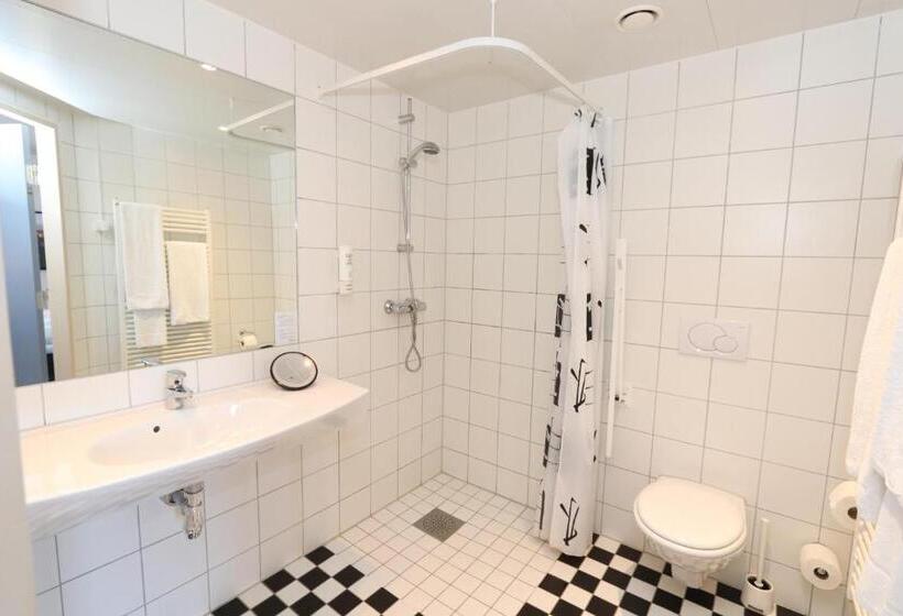 غرفة بيزنس, Viking Aqua Spa & Wellness