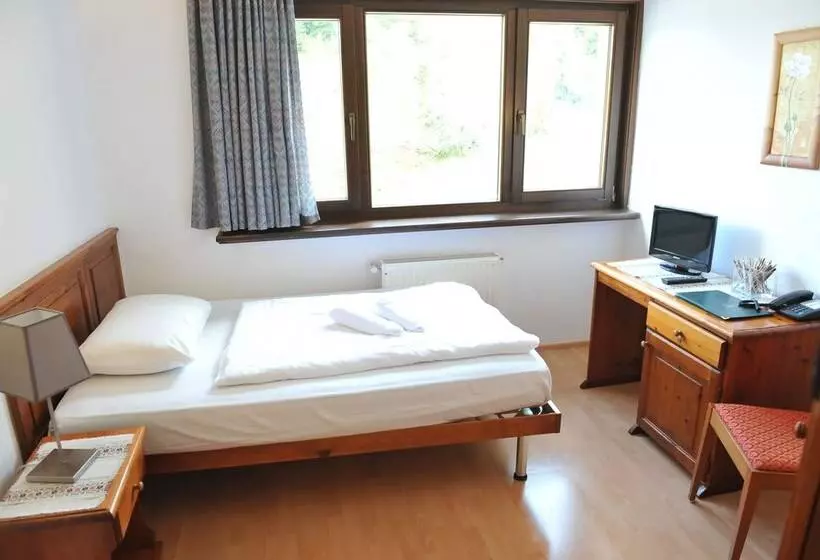 Standard Yhden Hengen Huone, Biker Hotel Al Gallo Forcello