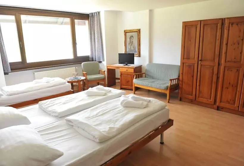 Standard Kolmen Hengen Huone, Biker Hotel Al Gallo Forcello