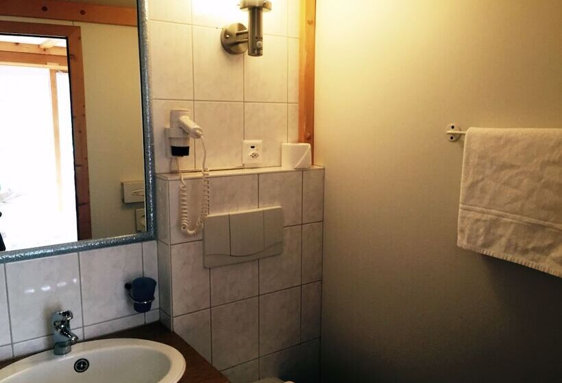 غرفة قياسية فردية, Chalet Hotel Adler Ag