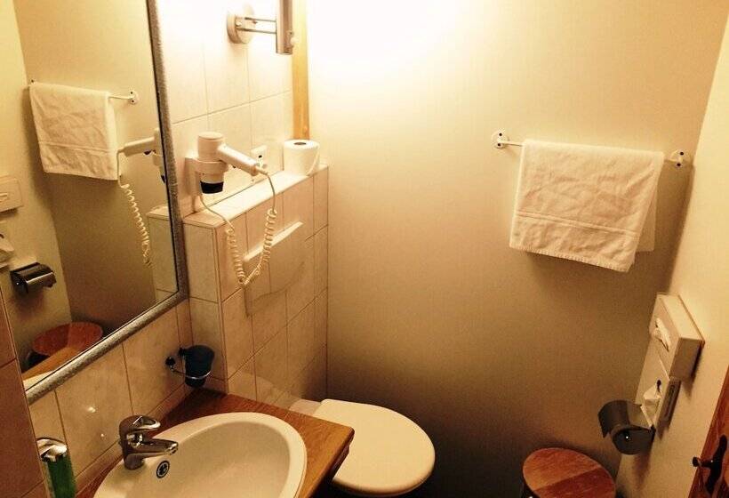 غرفة قياسية فردية, Chalet Hotel Adler Ag