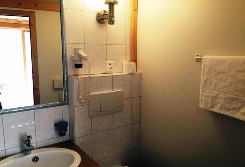 غرفة قياسية فردية, Chalet Hotel Adler Ag