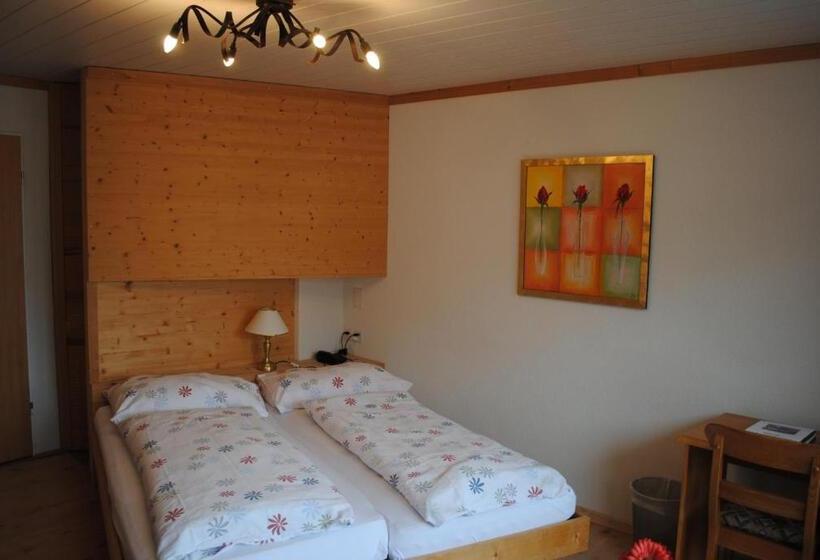 Номер Стандарт, Chalet Hotel Adler Ag