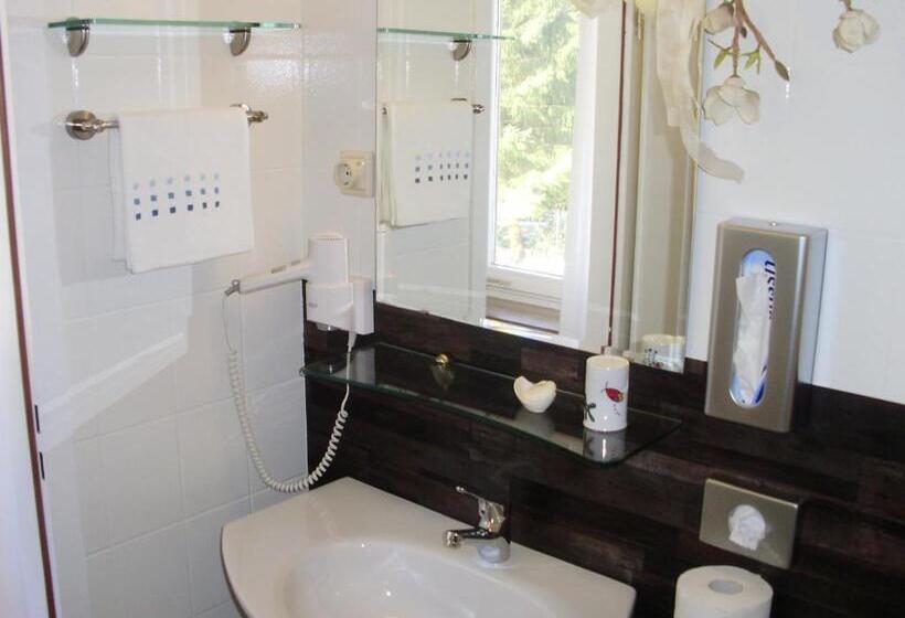 غرفة قياسية فردية, Garni Waldsegler