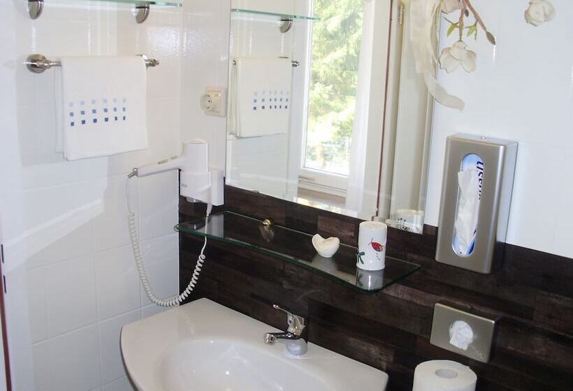 غرفة قياسية فردية, Garni Waldsegler