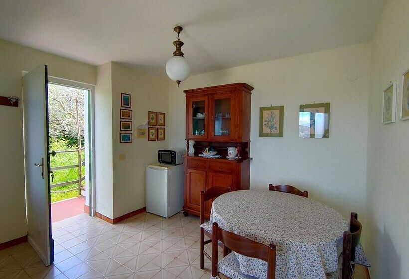 דירת חדר בסיסית, Gli Ulivi Agriturismo