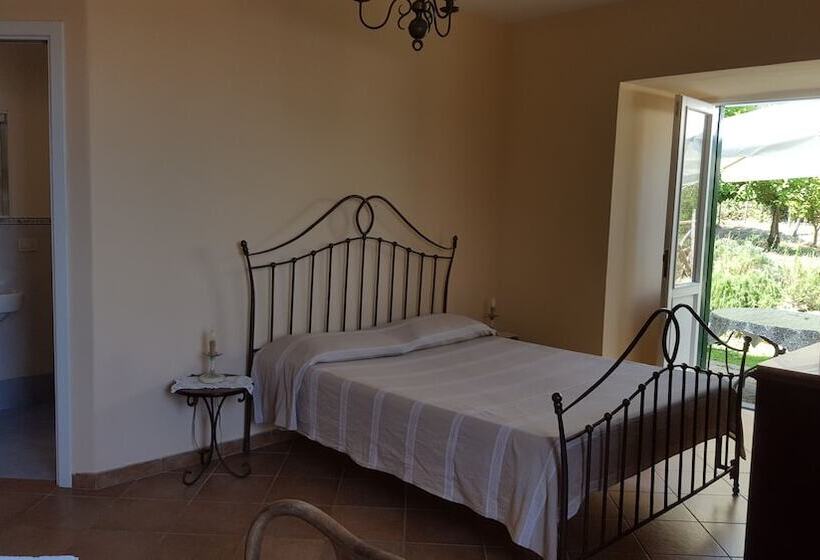 דירת חדר עם טרסה, Gli Ulivi Agriturismo