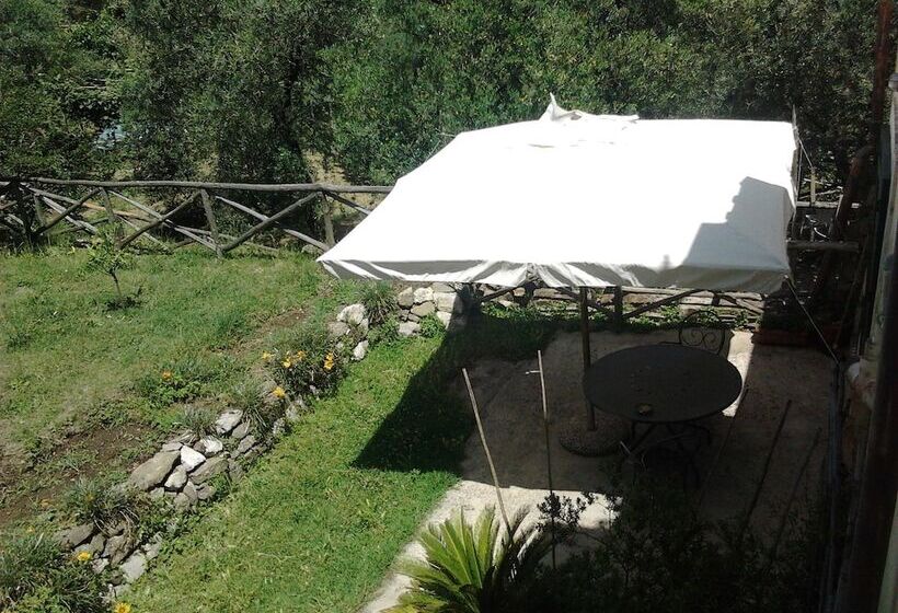 דירת חדר בסיסית, Gli Ulivi Agriturismo