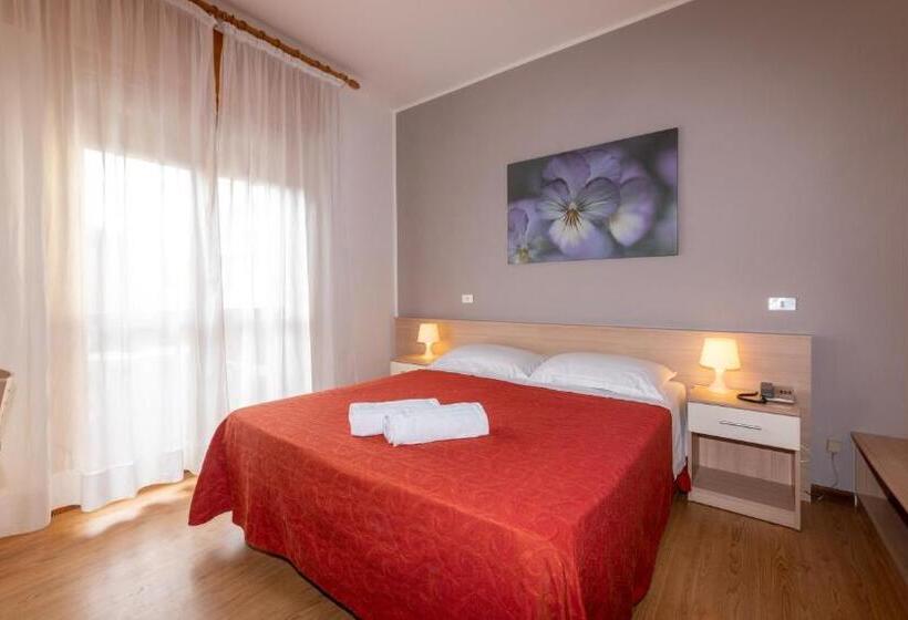 Номер Стандарт, Nazionale