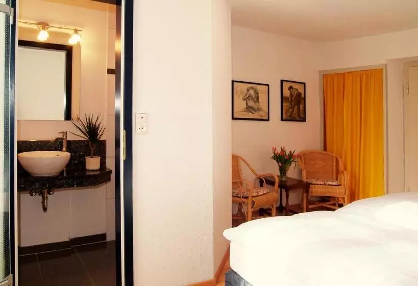اتاق استاندارد یک نفره, Landhotel Schwarzes Ross