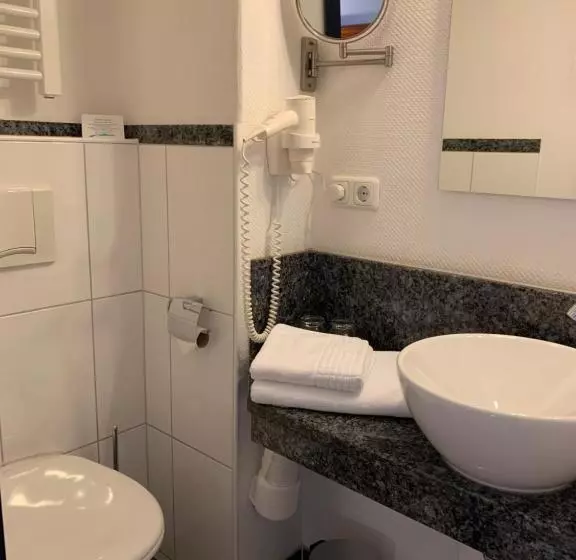 اتاق استاندارد یک نفره, Landhotel Schwarzes Ross