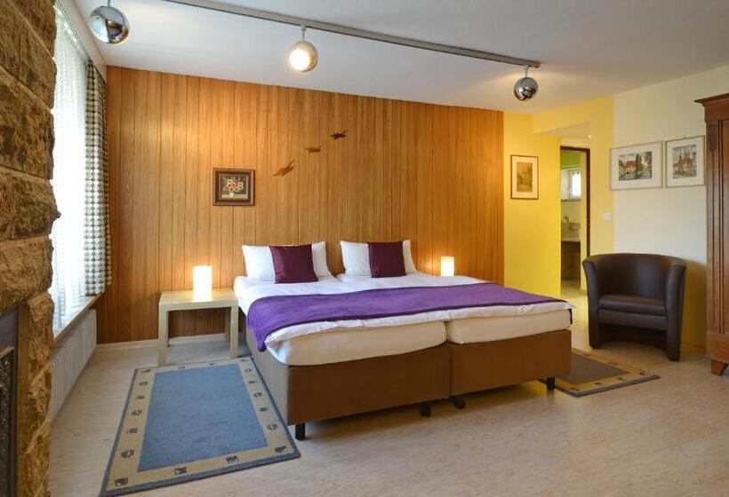 舒适型房间, Landhotel Schwarzes Ross