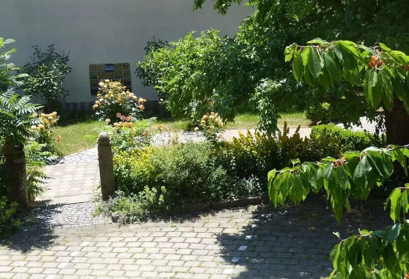 اتاق استاندارد یک نفره, Landhotel Schwarzes Ross