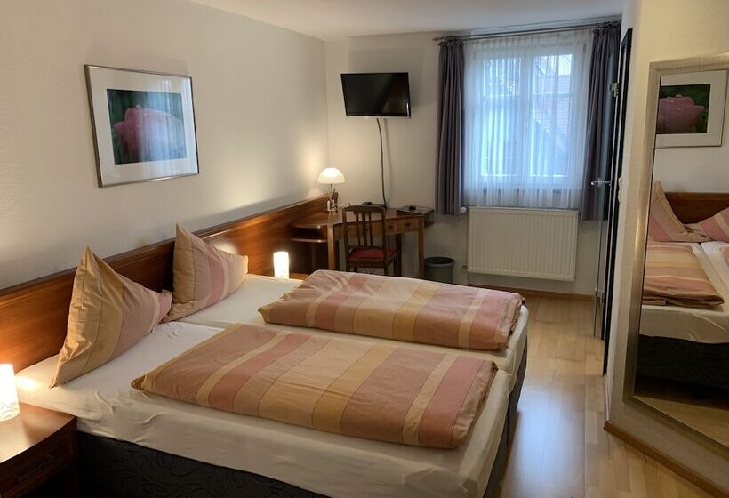 スタンダードシングルルーム, Landhotel Schwarzes Ross