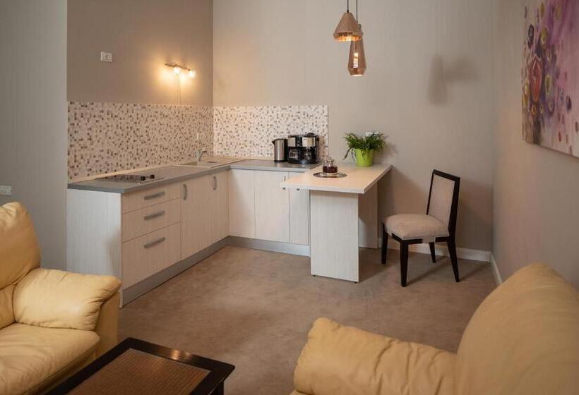 1ベッドルームのデラックスアパートメント, Residence Hirscher