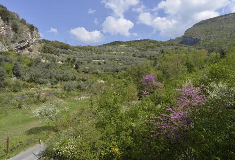 Pokój Standard, Seele Garda