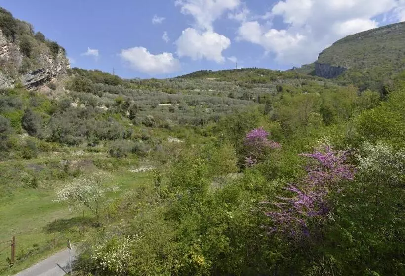 اتاق استاندارد, Seele Garda