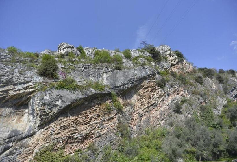 اتاق لوکس, Seele Garda