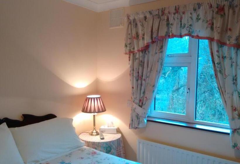 스탠다드 룸, Corrib View Guesthouse H91rr72