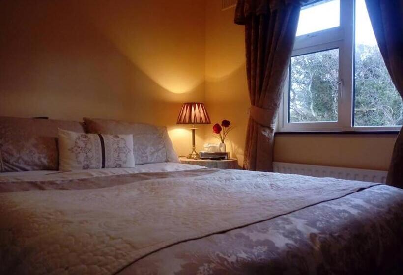 스탠다드 룸, Corrib View Guesthouse H91rr72