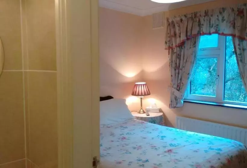 バス共有のスタンダードルーム, Corrib View Guesthouse H91rr72