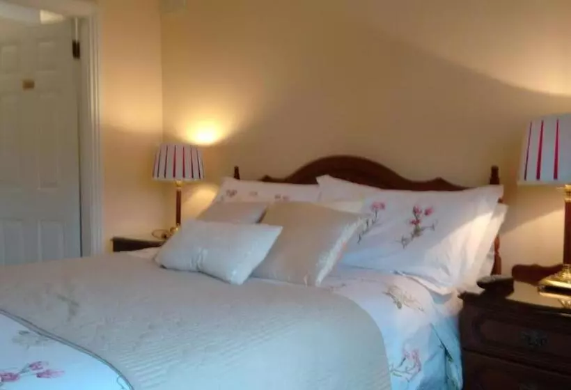 バス共有のスタンダードルーム, Corrib View Guesthouse H91rr72