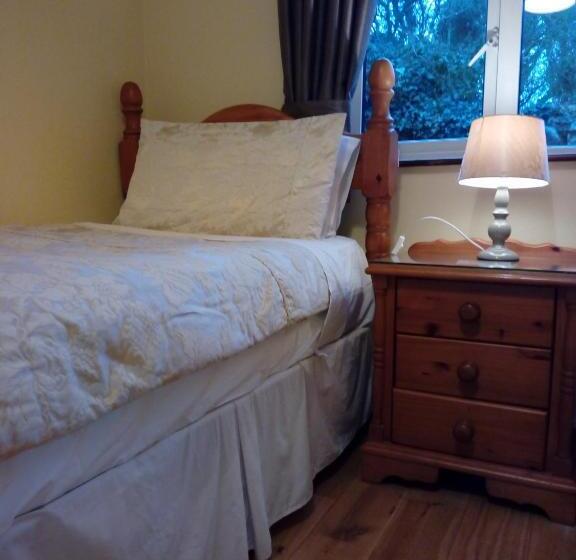 스탠다드 싱글 룸 공동욕실, Corrib View Guesthouse H91rr72