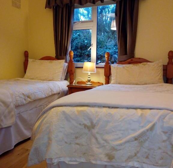 스탠다드 싱글 룸 공동욕실, Corrib View Guesthouse H91rr72