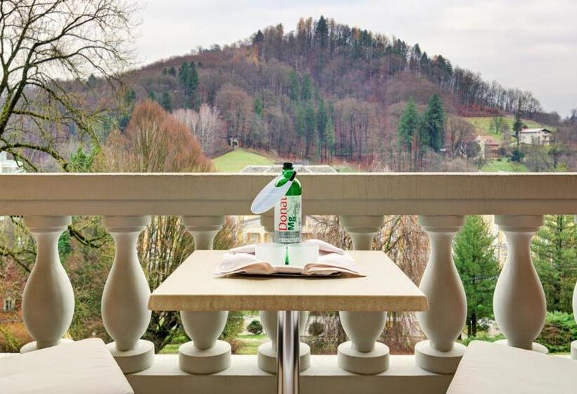 سوییت, Aleksander Medical & Spa