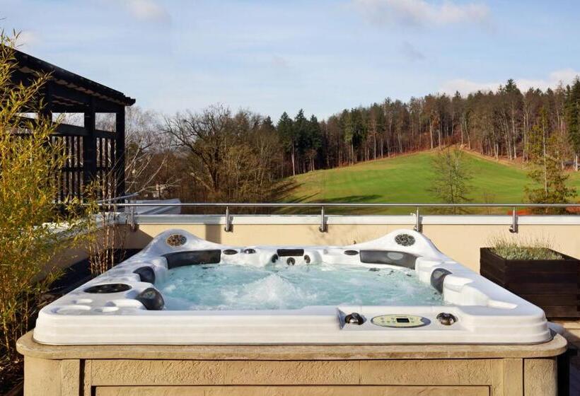 سوئیت پنت هاوس, Aleksander Medical & Spa