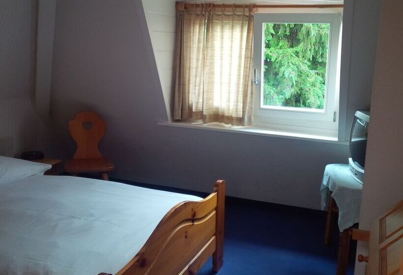 기본룸, De La Paix