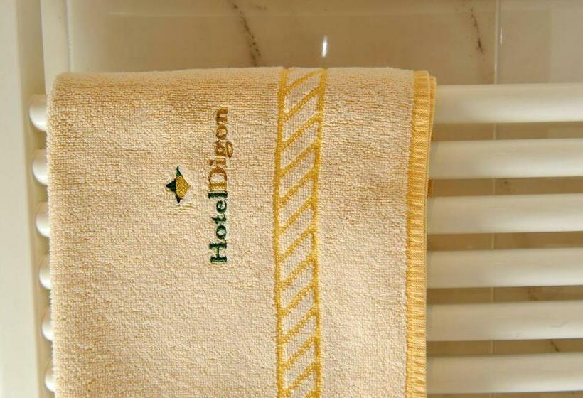 스탠다드 룸, Digon