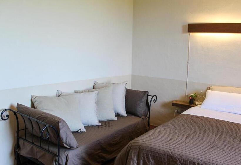 标准间, Fattoria San Donato