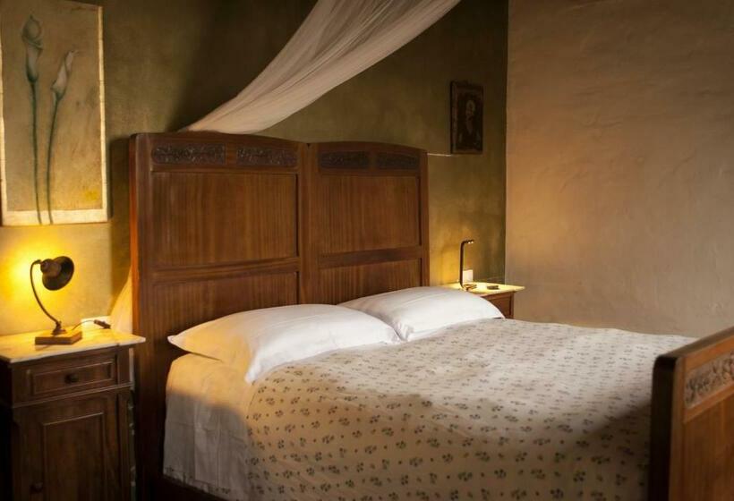 スタンダードルーム, La Lepre Bianca