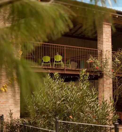 ジュニアスイート, La Lepre Bianca