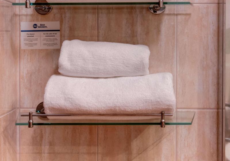 Superior room with lake view, Milano