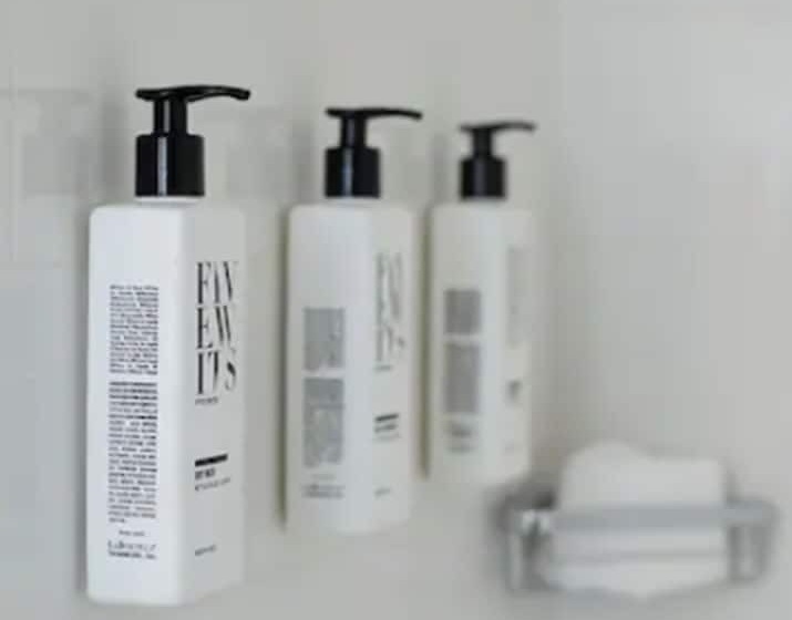 غرفه قياسيه سريرين مزدوجين, The Fontaine