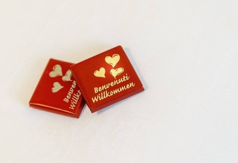 Номер Стандарт, Windsor Merano Hotel & Suites