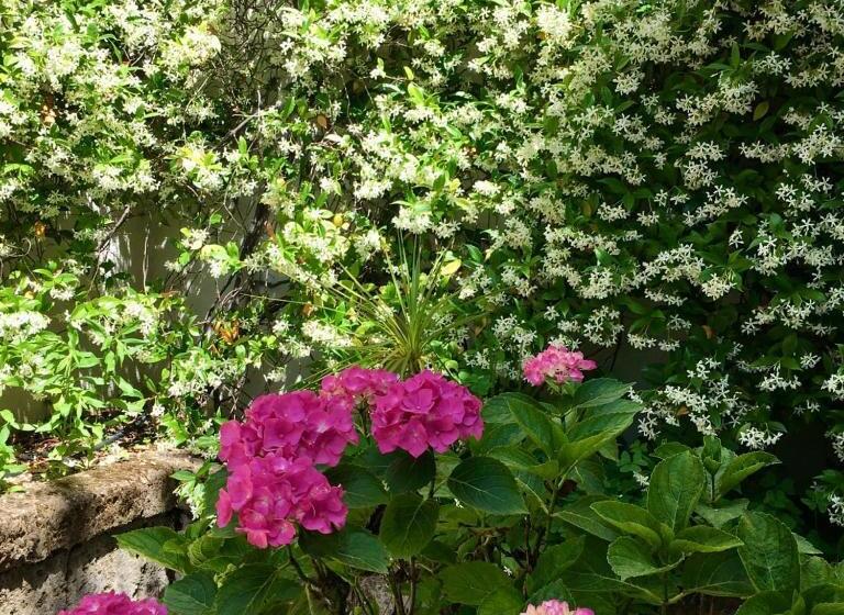 Номер Стандарт с Террасой, Villa Belvedere