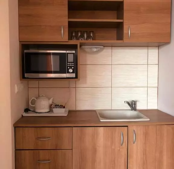 Apartament 1 Dormitori amb Balcó, Naslada