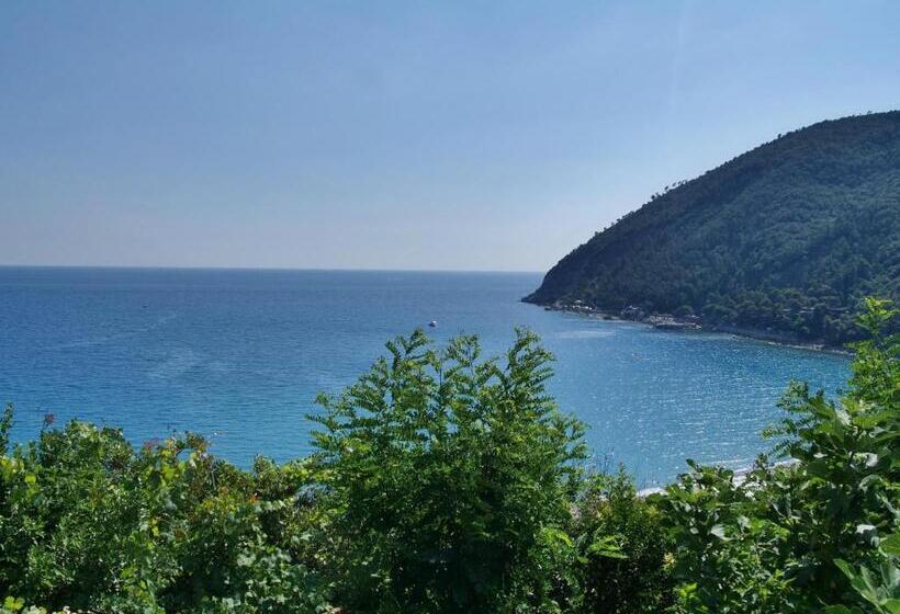 إستوديو قياسى مطل على البحر, Residence Mondial