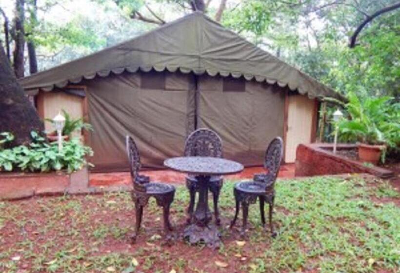 Standard Tent, Westend