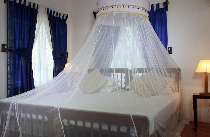 سوییت با چشمانداز باغ, The Oceano